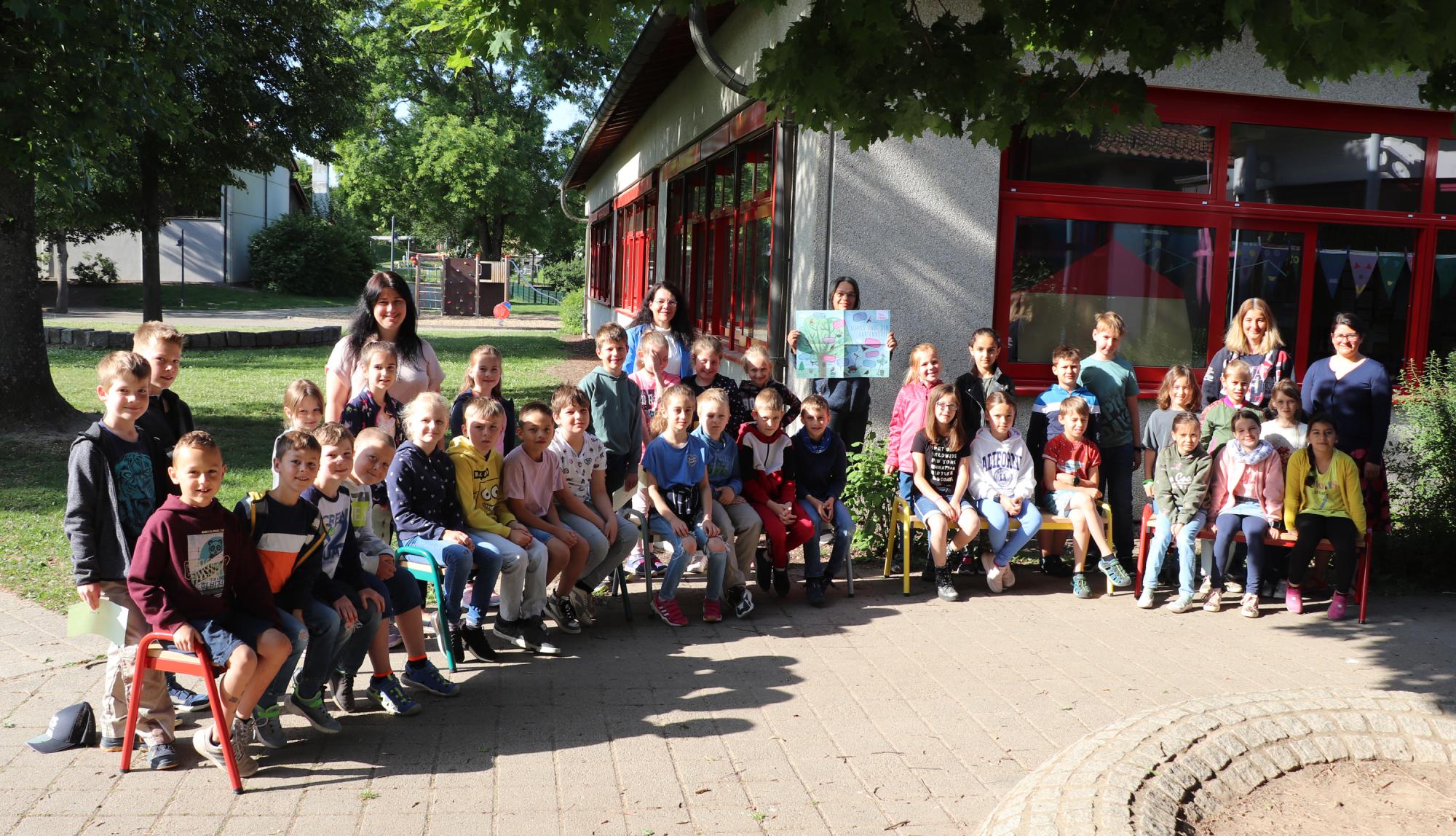 Impression Nistkästen für die Schauenburgschule Urloffen
